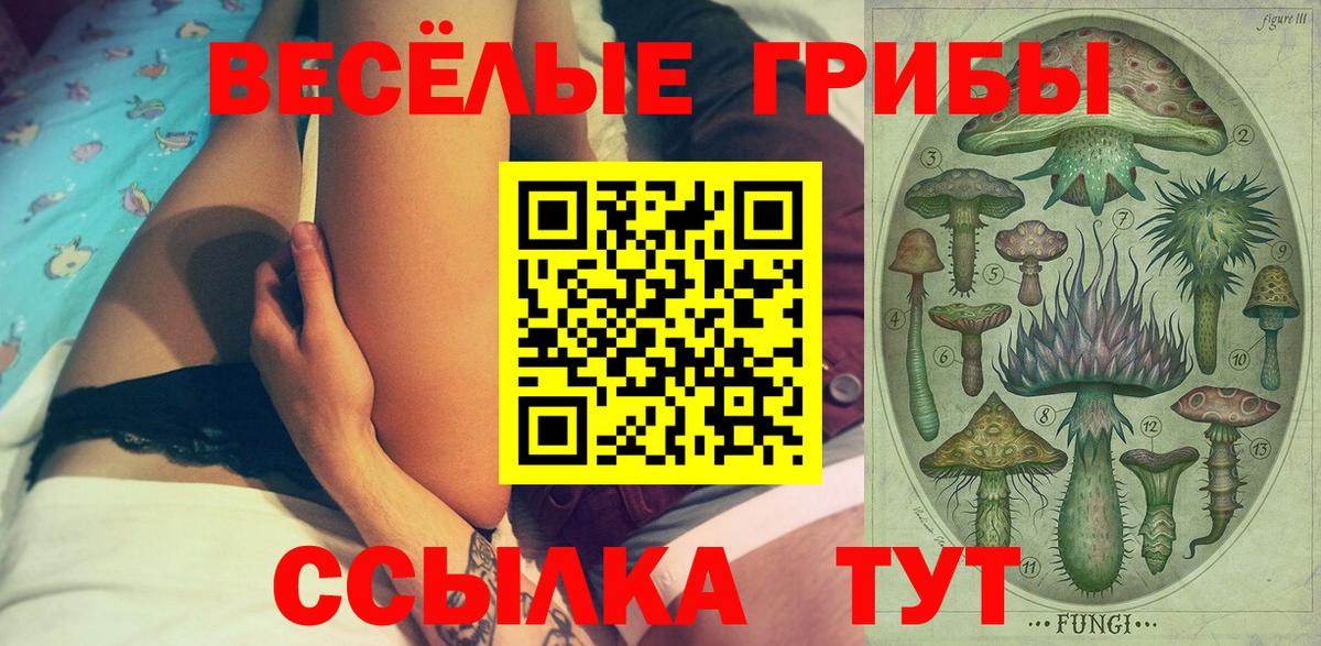 Галлюциногенные грибы мицелий Сергиев Посад